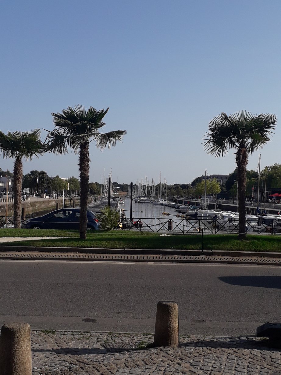 Port de plaisance de Vannes vu de la porte Saint Vincent