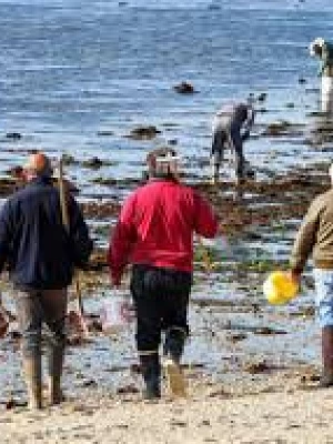 Les grandes marées en Bretagne